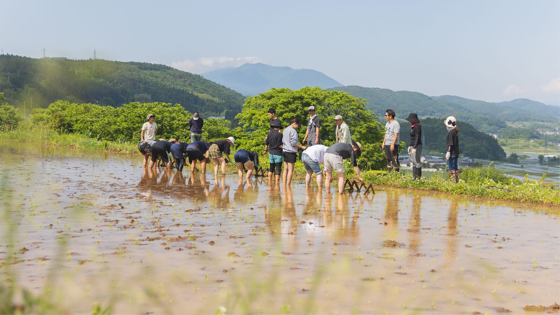牟礼、高岡